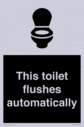 this-toilet-flushes-automatically~